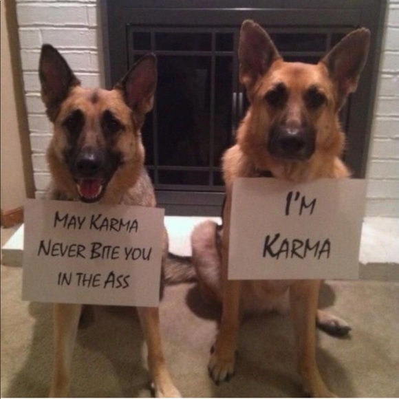 Malfunctioning. Please like new listing - Picture 8 of 8